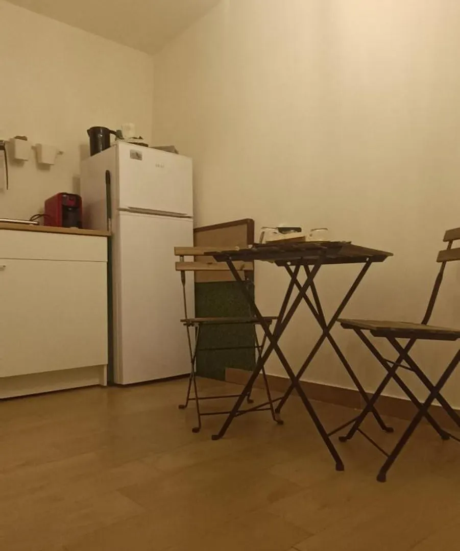 Cerami Jungle Suite Katanya Daire